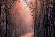 开云官网:杨毅团队曝CBA将迎重大改革!4大外援+1个中国人,辽粤时代终结了.