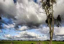 开云官网：突然被解雇！再见詹金斯！灰熊做法太绝情.