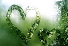 开云官网：[NBA]詹姆斯末节爆发 战胜国王取三连胜.