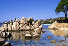 慢镜头：尤文将根据带队成绩决定图多尔未来，不会仓促决定.